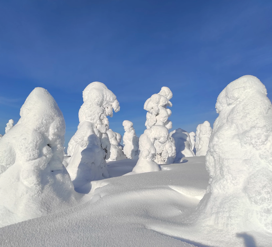 Finnische Winterwoche auf Schneeschuhen © hikesntrails
